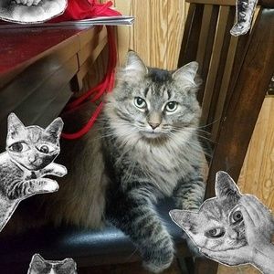 Meet your Posher, Carolyn